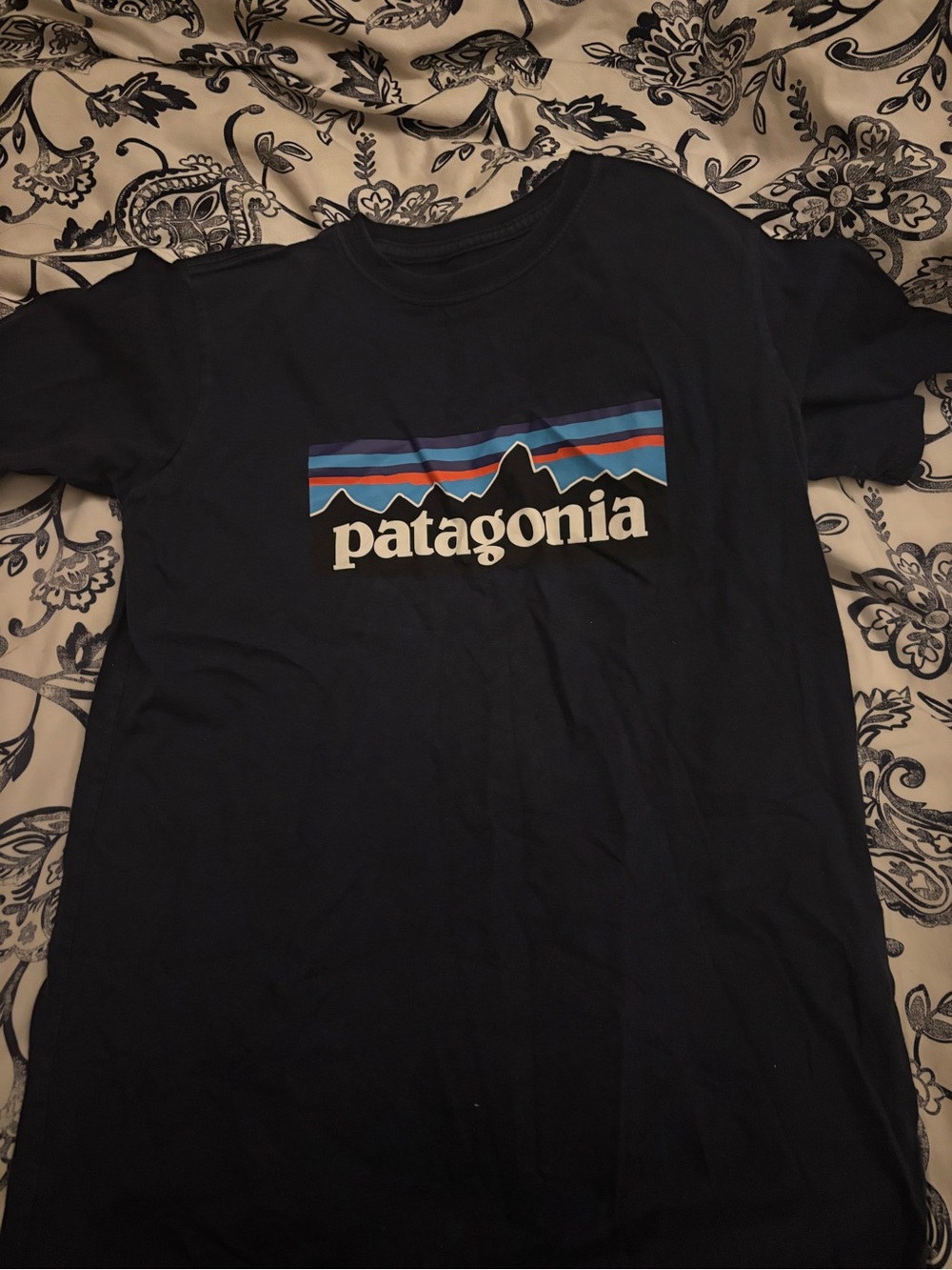 Patagonia Black Short Sleeve Tee with Multicolor Mountain Logo